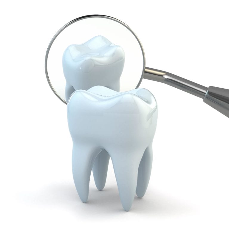 Model tooth with a dental mirror on a white background
