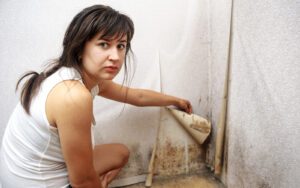 Black Mold Infestation