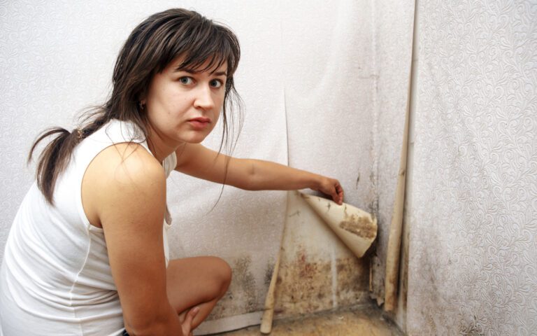 Black Mold Infestation
