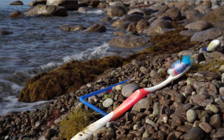 Toothbrush on a shoreline